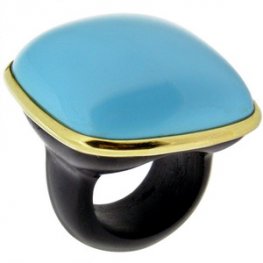Ebony and Turquoise ring